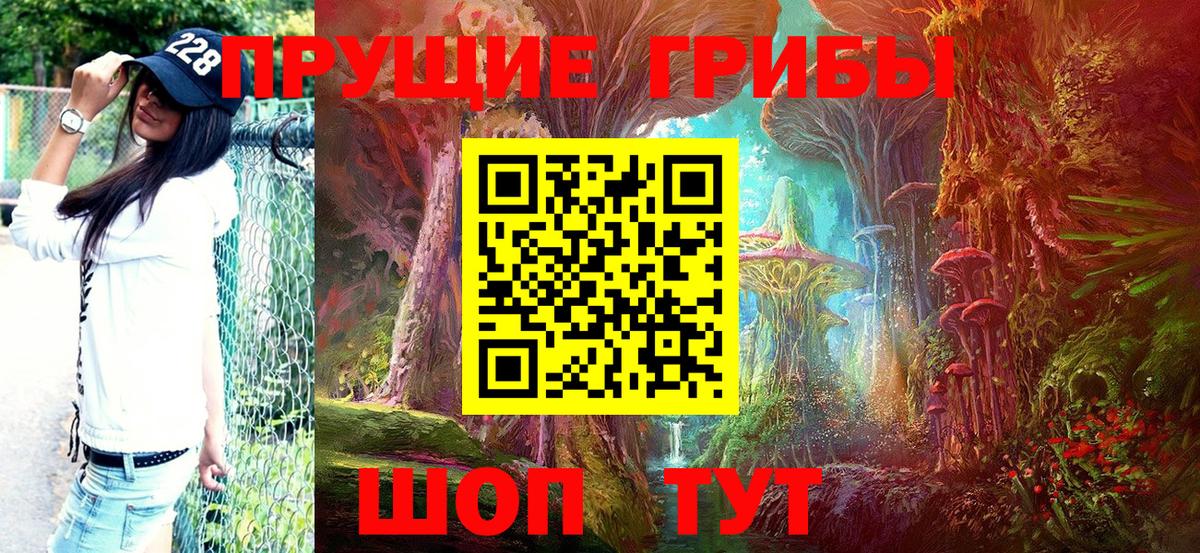 Волжский  Галлюциногенные грибы Cubensis  Вход с VPN 