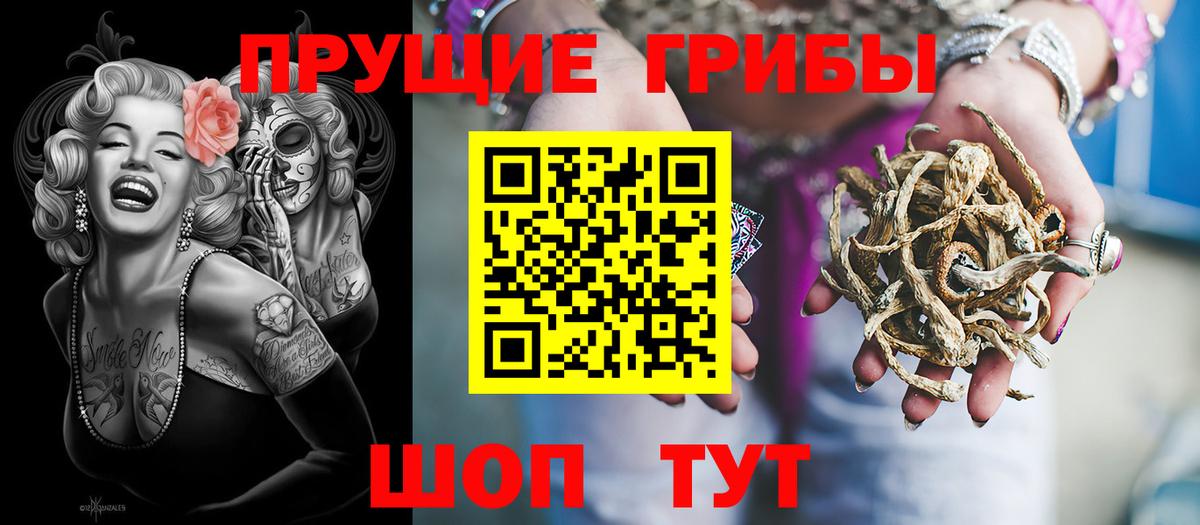 Галлюциногенные грибы Psilocybine cubensis  Псилоцибиновые грибы мухоморы  Волжский 